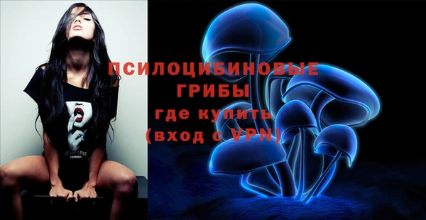 бошки Верхнеуральск